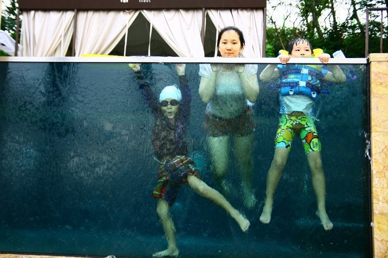2011 banyan tree20.jpg
